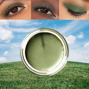 Meadow Grass Cream Eye Color - Limited Edition Mary Kay - Discontinued